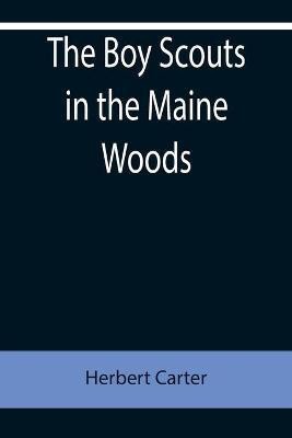 The Boy Scouts in the Maine Woods; Or, The New Test for the Silver Fox Patrol(English, Paperback, Carter Herbert)