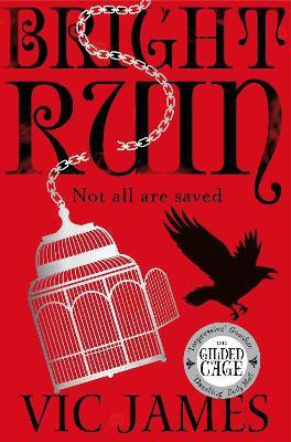 Bright Ruin(English, Paperback, James Vic)