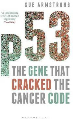 p53(English, Paperback, Armstrong Sue)