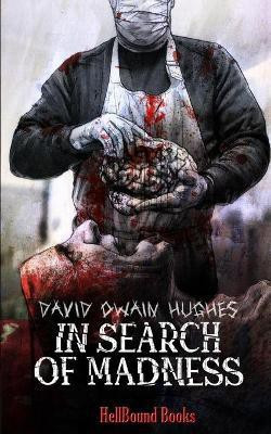 In Search of Madness(English, Paperback, Hughes David Owain)