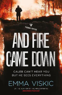 And Fire Came Down(English, Paperback, Viskic Emma)