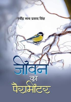 Jeevan Ka Parameter(Hindi, Hardcover, Nath Ravindra Prasad Singh)