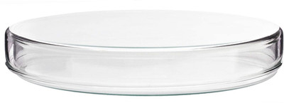 Z GLASS Glass Reusable Petri Dish(100 mm Pack of 1)