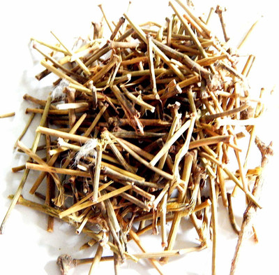 Xetomos Somlata Somalata Soma Asmania Seed(1 per packet)