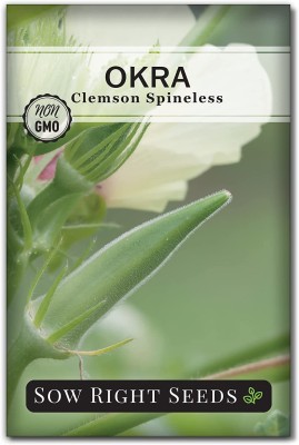 MKR Enterprises Red Okra Seed(530 per packet)