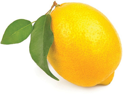 XOLDA Lemon Plant Seed(15 per packet)