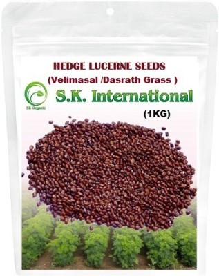 SK ORGANIC Hedge Lucerne (Vellimasal/Dasrath) grass seeds (1 KG) Seed(20000 per packet)