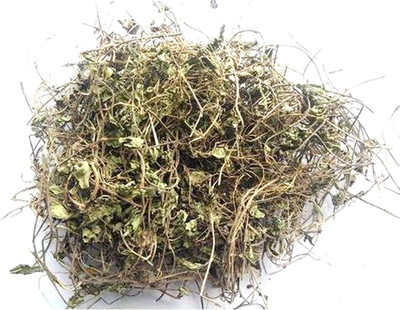Xetomos Brahmi Bacopa Monnieri Birami Sambarenu 250g seeds Seed(1 per packet)