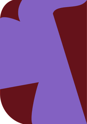 Cam cart 8X 12ft ,2 In 1 Colors Single Photography Backdrop(Red & Purple 2 in 1) Reflector