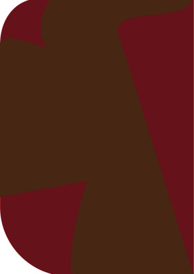 Stookin 8X 12ft ,2 In 1 Colors Single Photography Backdrop(Red & Brown 2 in 1) Reflector