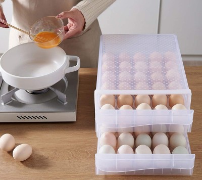 Trendegic Plastic Egg Container  - 5 dozen(Clear)