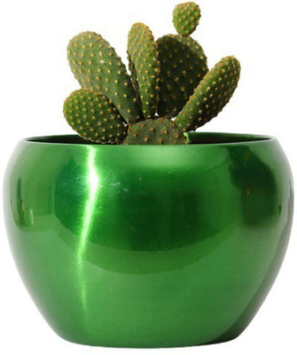 MetalDesign Metal Plant Pot Green TPR Planter Plant Container Set(Metal)
