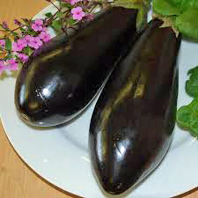 Decon Bengan Seed(50 per packet)