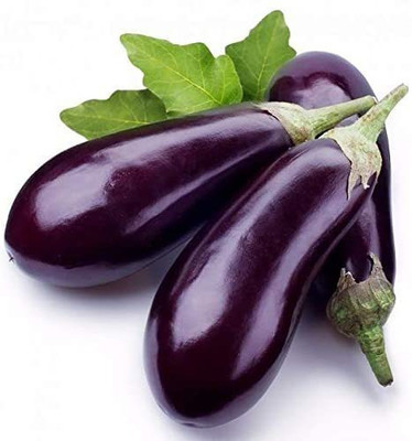 MKR Enterprises Bengan Seed(600 per packet)