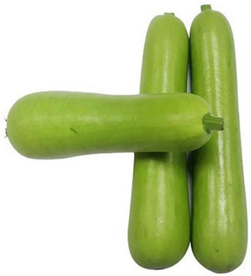 VNR Fresh Bootle Gourd (lokki) Vegetable Seed(100 per packet)