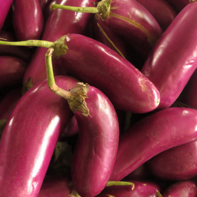 VNR Fresh Bootle Gourd (lokki) Vegetable Seed(100 per packet)
