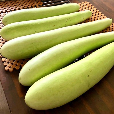 VNR Upl Bottle-Gourd (lokki) Vegetable F1 Hybrid Variety Seed(30 per packet)