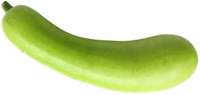 VNR Upl Bottle-Gourd (lokki) Vegetable Hybrid Variety Seed(30 per packet)