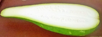 VNR Fresh Bootle Gourd (lokki) Vegetable Seed(100 per packet)