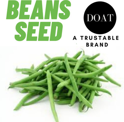 Doat GUWAR PHALI, FALI, BEAN Seed(100 per packet)