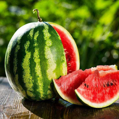 Siddhi Vinayak Gallery® Watermelon seeds for Home and Garden 5 grm pack Seed(5 g)