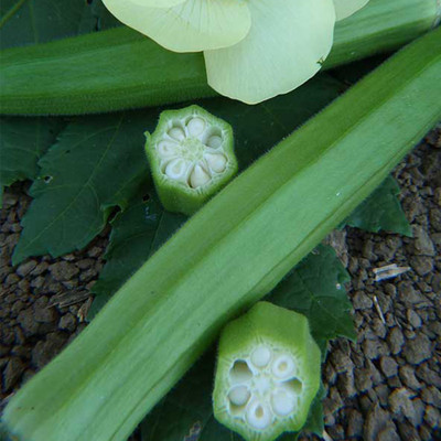 Farmonix Z417_Q_Non-GMO, Open Pollinated Okra Seeds Seed(80 per packet)