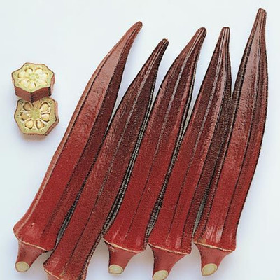 Farmonix Burgundy Okra Seed Seed(100 per packet)