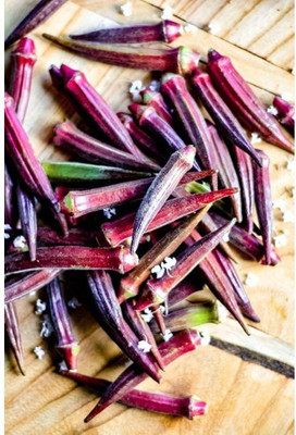 Farmonix Z399_K_Red Burgundy Okra Seeds Seed(80 per packet)