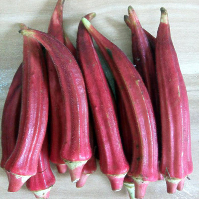 Farmonix Z523_E_Vegetable Red Okra Seed Seed(80 per packet)