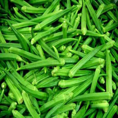 Farmonix Z878_U_Okra Lady Finger /Green Okra Seeds Seed(100 per packet)
