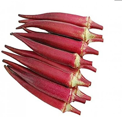 Farmonix Z3395_G_Red Okra/Bhindi Seeds Seed(1000 per packet)