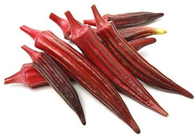 Farmonix Z2681_B_Red Burgundy Okra Seeds Seed(500 per packet)