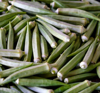 Farmonix Z283_V_Okra seeds - Hibiscus esculentus Seed(50 per packet)