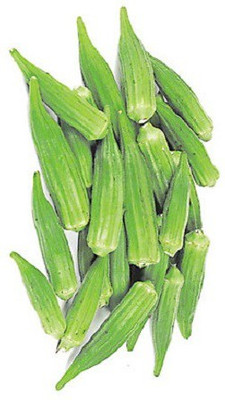 Farmonix Z1220_B_Okra Lady Finger /Green Okra Seeds Seed(150 per packet)
