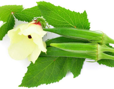 Farmonix Spineless Okra Seeds Seed(200 per packet)