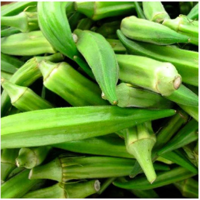 KLARKEE Z1176_X_Emerald Okra Seeds | NON-GMO | Heirloom Seed(150 per packet)