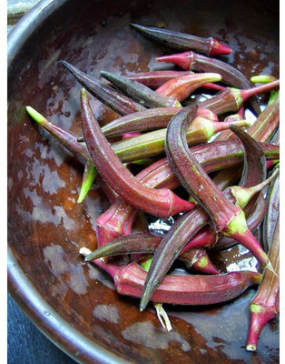 Farmonix Z779_W_Red Burgundy Okra Seeds Seed(100 per packet)