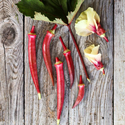 Farmonix Z2193_O_Burgundy Red Okra Seeds Seed(250 per packet)