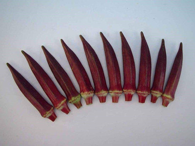 VibeX ® XLR-575 Splendor F1 Hybrid Okra Seeds - Red Seed(100 per packet)