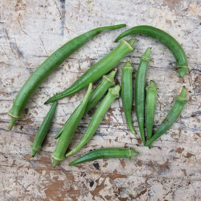 Farmonix Z1068_N_Ladies Finger/Bhindi/Okra Seeds Seed(100 per packet)