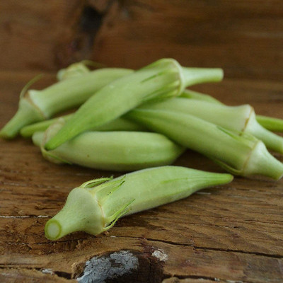 Farmonix Z632_I_Blondy Dwarf Okra Seeds Seed(80 per packet)