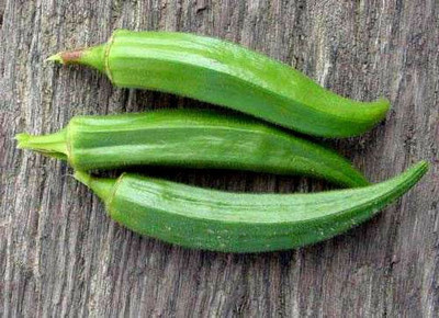 Farmonix Z2225_S_GREEN OKRA Vegetable Seeds Seed(250 per packet)