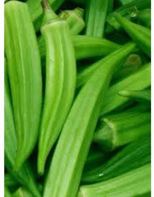 Farmonix Z1901_B_Okra, Clemson Spineless Seeds Seed(250 per packet)