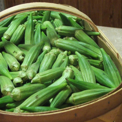 Farmonix Z111_U_Okra Lady Finger /Green Okra Seeds Seed(50 per packet)