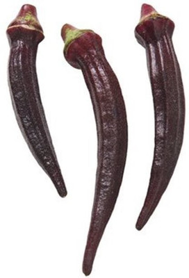 Farmonix Z428_S_Seeds Okra Red Burgundy K2665 (Red) Seed(80 per packet)