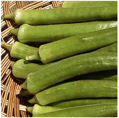 Farmonix Z228_Z_Okra Emerald Green Velvet Seed Seed(50 per packet)