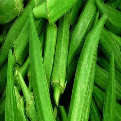 KLARKEE Spineless Okra Seeds Seed(200 per packet)