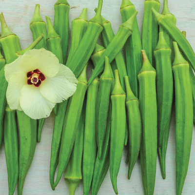 Farmonix Z1138_U_Organic Clemson Okra Seeds Seed(150 per packet)