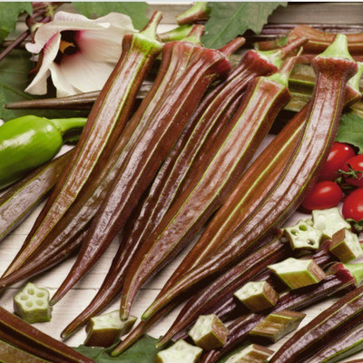 Farmonix Z1148_R_Red Burgundy Okra Seeds Seed(150 per packet)
