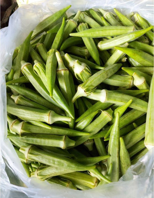 Farmonix Z826_U_Ladies Finger/Bhindi/Okra Seeds Seed(100 per packet)